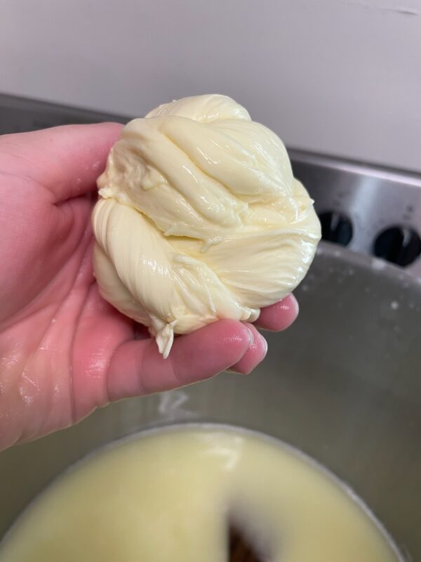 Making Mozzarella