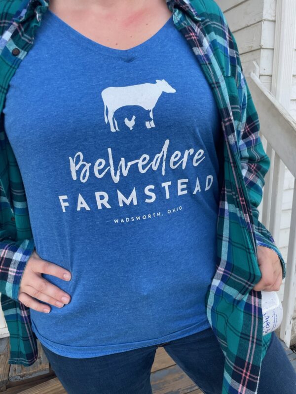 Women's V-neck Royal Blue Farmstead Logo