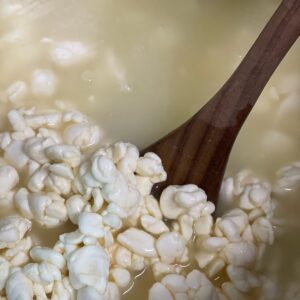 A pot of whey and cheese curds that are being lifted out of the pot with a wooden spoon.