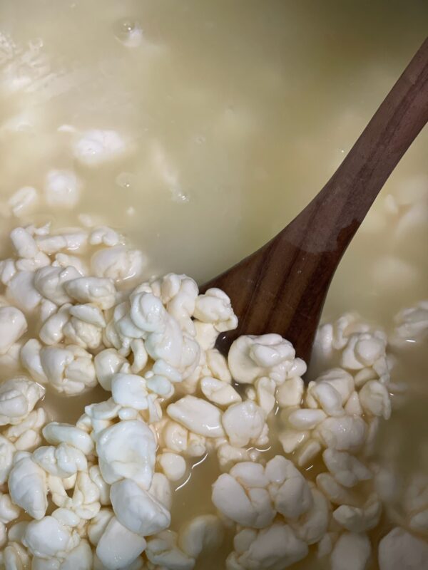 A pot of whey and cheese curds that are being lifted out of the pot with a wooden spoon.